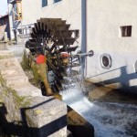 DSCF2133.JPG