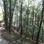 DSCF9193