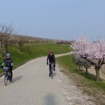 Fojana