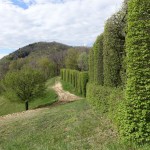 DSC00952