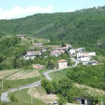 DSCF4346