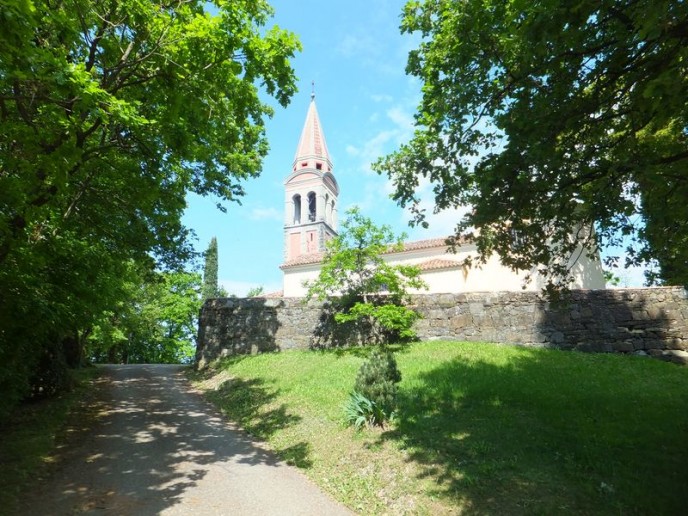 DSCF4351