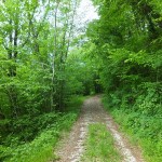 DSCF4358