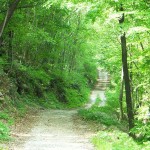 DSCF4359