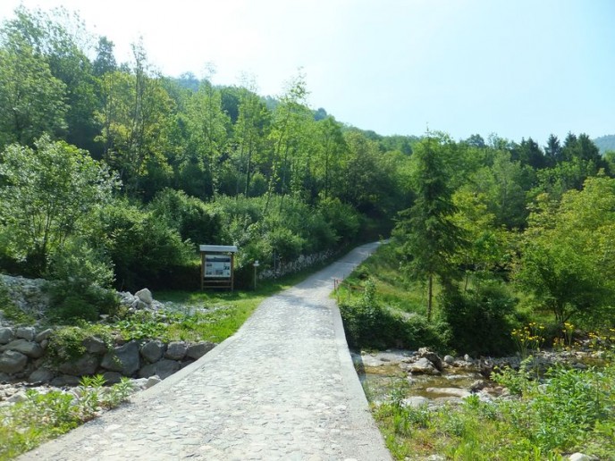 Montenarsr