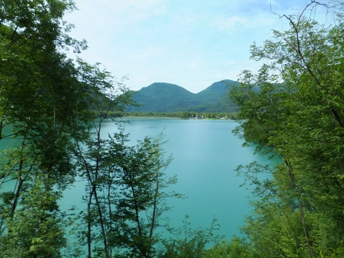 Cavazzo