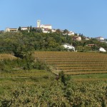 DSC04243