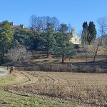 IMG_20250116_134453