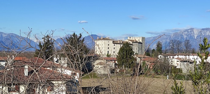IMG_20250116_140811