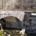 DSC04605r