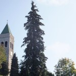DSCF9503