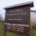 grappolo