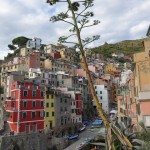 Riomaggioree36 - Copia