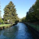 DSC00701