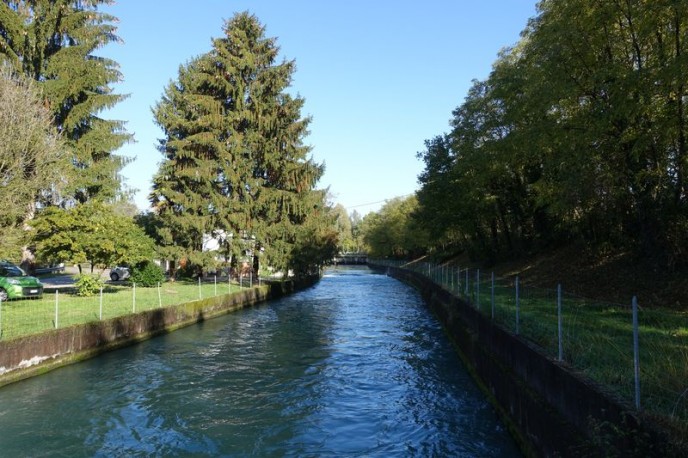 DSC00701
