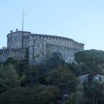 DSC00725