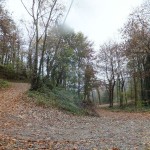 DSCF4253