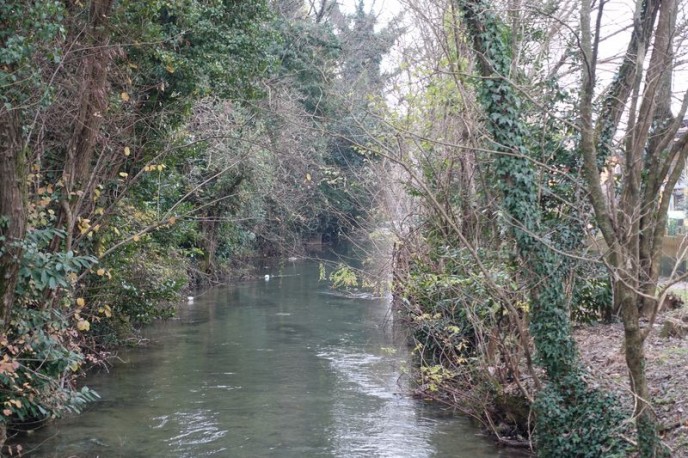 DSC00760