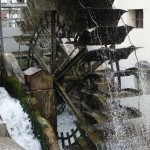 DSC00764