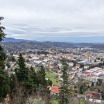 DSC00797