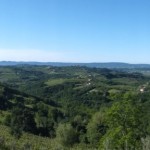 DSCF3756-1024x288