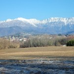 DSCF4316