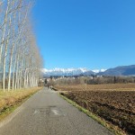 DSCF4317
