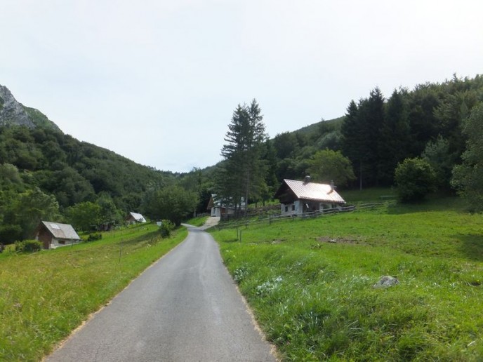 DSCF4459