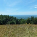 DSCF4573