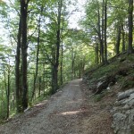 DSCF5006