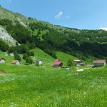 DSCF5256