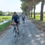DSCF5330