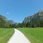 DSCF5386