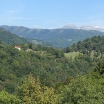 DSC03422
