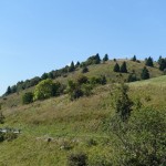 DSC03427