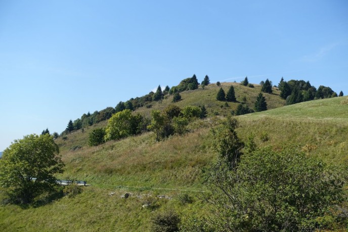DSC03427