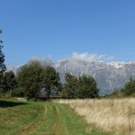 DSC03428