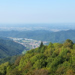 DSCF5418