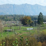 DSCF5442
