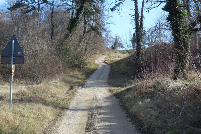 DSC03544