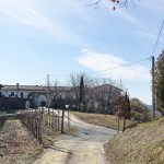 DSC03553
