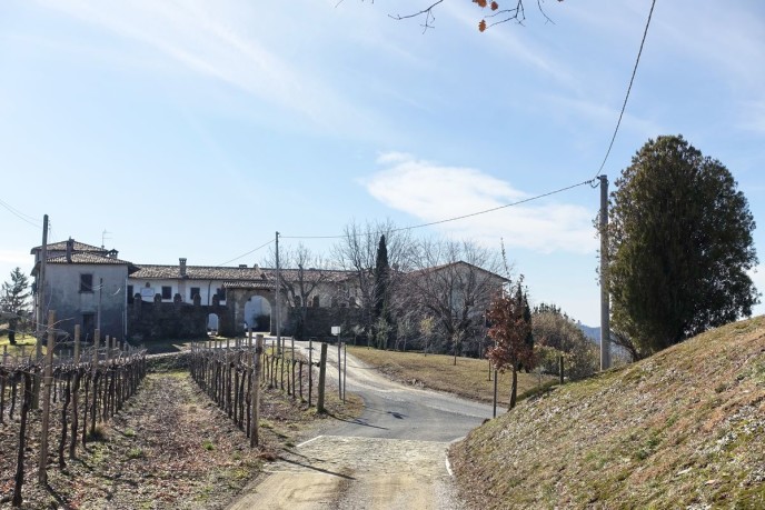 DSC03553