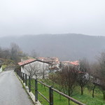 DSC03617