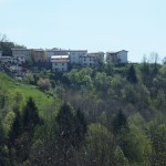 DSCF5514