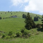 DSC03765