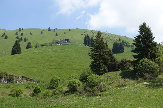 DSC03765