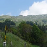 DSC03766