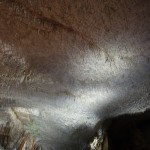 DSC03963