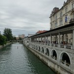 DSC03980