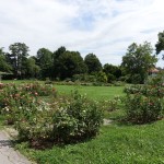 DSC03996